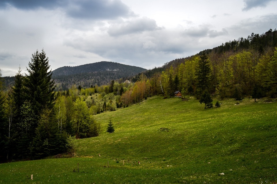 Las montañas serbias en verano, Fuente: kokas4oka, Pixabay